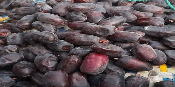 تصویر 2 از قیمت خرمای شهابی دشتستان با کیفیت ارزان + خرید عمده